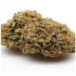 Шишки AK47 (Гидропоника, Бошка) VHQ в Костроме Шишки AK47 (Гидропоника, Бошка) VHQ в Костроме