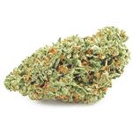 Шишки OG Kush (Гидропоника, бошки) VHQ в Костроме Шишки OG Kush (Гидропоника, бошки) VHQ в Костроме